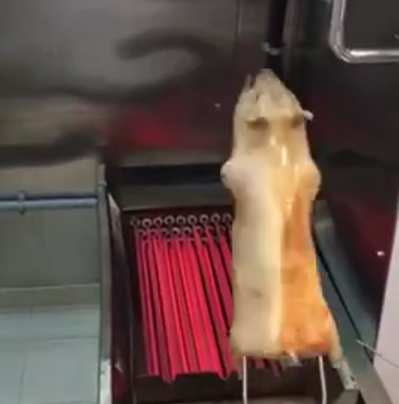 焙乳豬爐視頻
