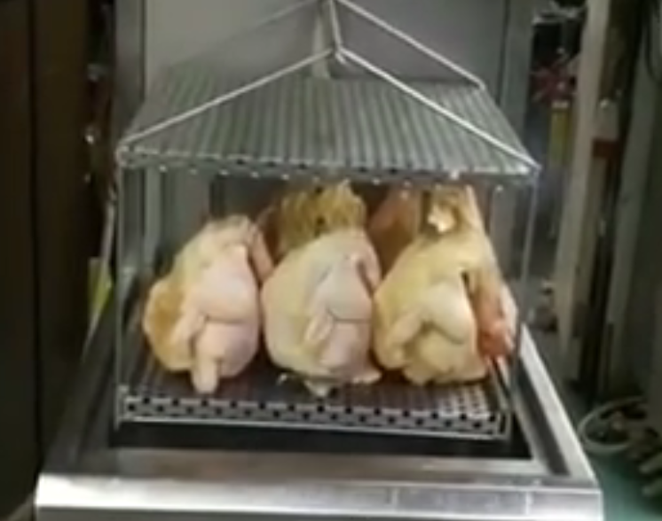 浸雞案例視頻